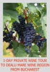 1-DAY PRIVATE WINE TOUR TO DEALU MARE FROM&nbsp;BUCHAREST