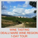 1-Day Wine Tasting Tour Dealu Mare Wine&nbsp;Region