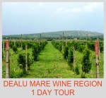 Dealu Mare wine region 1 day&nbsp;tour