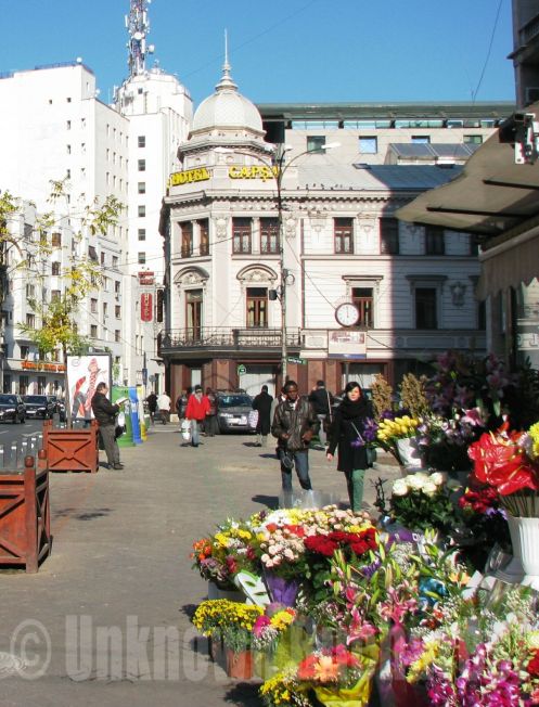 Capsa House, Bucharest