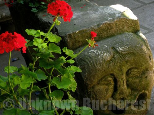 Stavropoleos Church, The Lapidarium