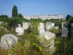 Gravestones overgrown with weeds in the Jewish Cemetery in&nbsp;Bucharest