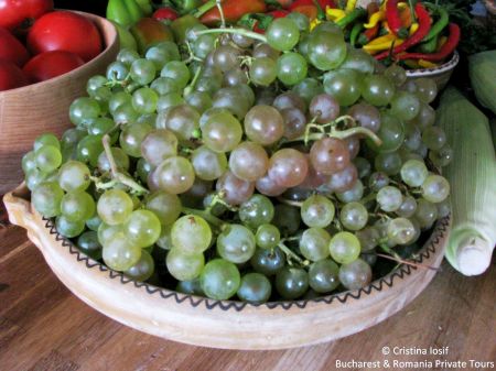 Autumn Grapes Romania