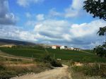View to Lacerta Winery, Dealu Mare Wine&nbsp;Region