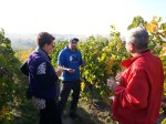 Vineyard visit during winery tour, Oct&nbsp;2017