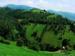 Farmed mountain landscape and midsummer lavish green, Bran&nbsp;area
