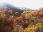 Colorful vistas in Marginimea Sibiului mountain area, southern&nbsp;Transylvania