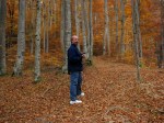 Walk through beech forest in Eastern Carpathians,&nbsp;Transylvania