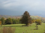 October landscape in Bran rural area,&nbsp;Transylvania