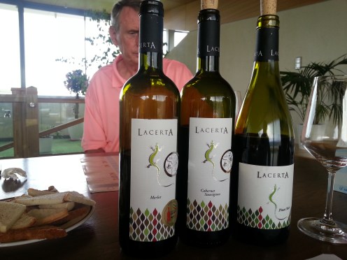 Wine tasting tour Lacerta Winery Romania