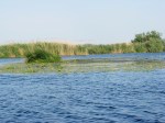 Lake landscape in the Danube Delta in&nbsp;May
