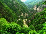 View from Poienari Citadel toward the Arges River Valley and the lavish green of early summer woods in the Carpathian&nbsp;Mountains