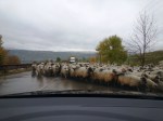 Traffic Jam in&nbsp;Transylvania