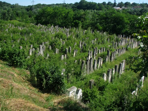 siret-jewish-cemetery-northern-moldova