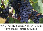 WINE TASTING WINERY TOUR FROM&nbsp;BUCHAREST