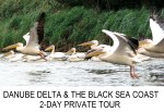Danube Delta Private&nbsp;Tour