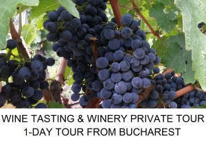 Wine tasting winery private tour from Bucharest