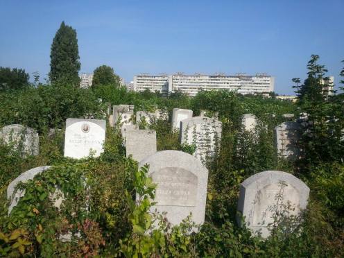Gravestones Bucharest Jewish Cemetery Giurgiului