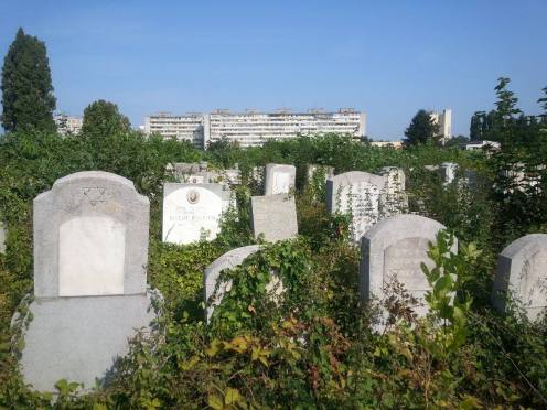 Jewish gravestones Giurgiului Jewish Cemetery Bucharest