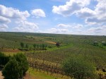 view-from-lacerta-winery-dealu-mare-region-romania