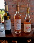 Wines for tasting, Strehan Winery, Dealu Mare wine&nbsp;region